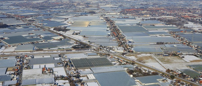 Westland